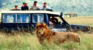 safari_africa