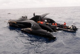 Japan, NZ meet over whaling clash