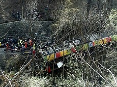 Palm Trees stopping carriages from dropping into a river after the landslide that has berried dozens of vehicles