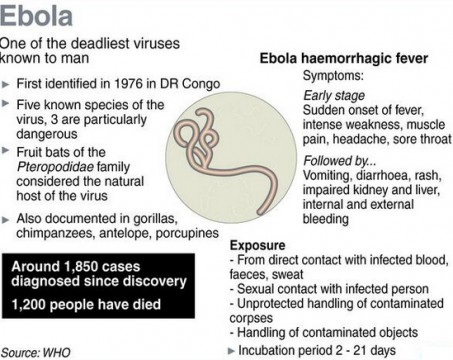 About Ebola virus.