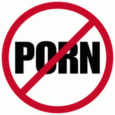 PIL in Indian Supreme court demands ban on pornographic sites.