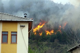 karabuk orman yangini1