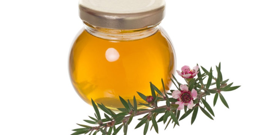 Manuka Honey - Lung Infections