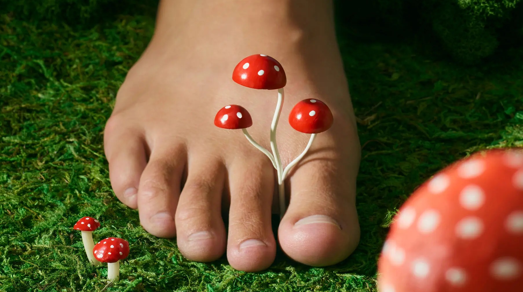 How To Eliminate Toenail Fungus NationalTurk