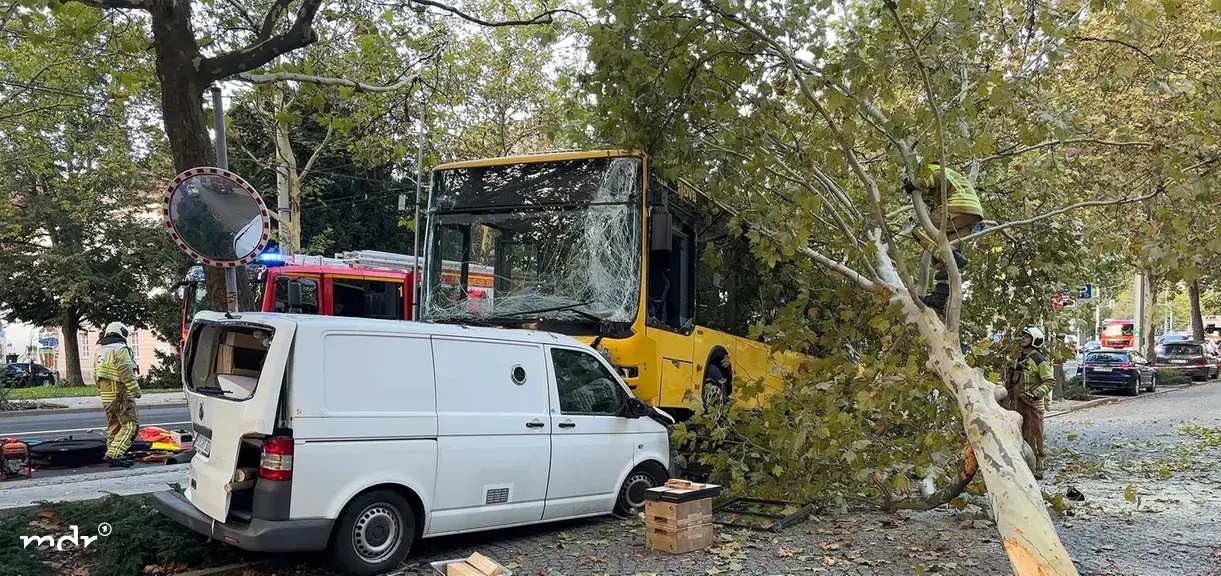 30 people injured in bus accident in Dresden