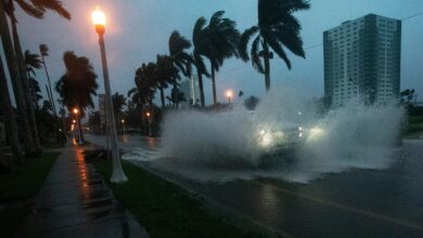 "Hurricane Milton" hits Florida