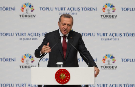 erdogan turgev