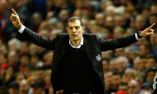 bilic 293462