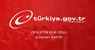 e devlet kilitlendi