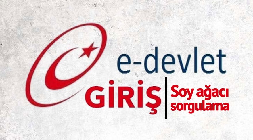 e devlet soy agaci