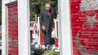 erdogan canakkale 1828282