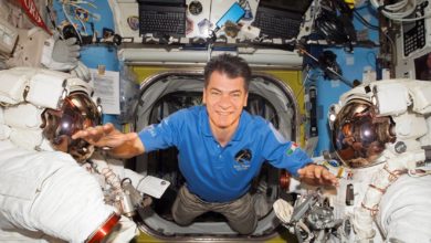 paolo nespoli