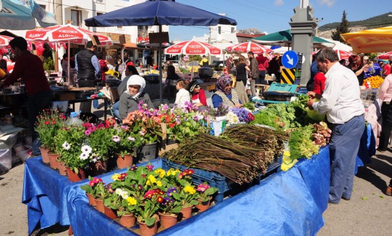 Bodrum'da gerçekleşecek olan Acı Ot Festivali'nin tanıtım toplantısı gerçekleştirildi.