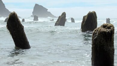 ABD'de yapılan bir bilimsel çalışmaya göre Kuzey Pasifik'te beklenen Cascadia depremi tahmin edilenden daha büyük olacak.