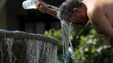 Yapılan açıklamaya göre 21 Temmuz, tüm dünyada son yılların en sıcak günü olarak kaydedildi.