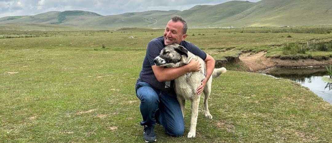 Sokak Hayvanları Yasası ve Hayvan Kültürümüz!