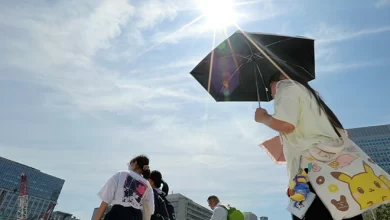 Japonya'nın farklı kesimlerinde bu ayın başından beri etkili olan aşırı sıcakların bilançosu netleşmeye başladı.