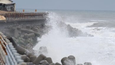 Japonya'da deprem sonrası tsunami alarmı