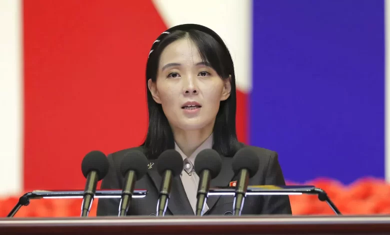 Kim Yo-Jong'dan Güney Kore'ye sert uyarı: İHA'lar felakete yol açabilir