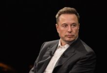 Elon Musk’ın AfD desteği Almanya’da tepki çekti