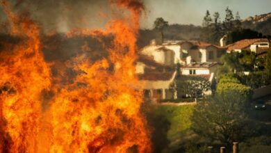 Los Angeles bölgesinde etkili olan Palisades, Eaton, Hurst, Lidia ve Sunset yangınları, 25 bin dönümden fazla alanı kül etti.