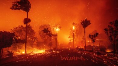 ABD Los Angeles'ta şiddetli rüzgarların kuru hava koşullarıyla birleşmesi sonucu başlayan orman yangını, yaklaşık 3 bin hektarlık alanı kül etti.