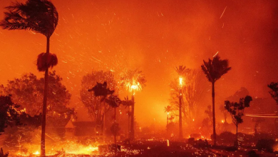 Los Angeles'ta yangınlarla mücadele sürüyor