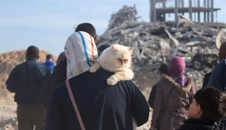 Ateşkes sonrasında yıkıntılara geri dönen Filistinliler