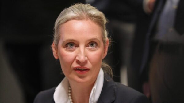 alice weidel Almanya Icin Alternatif