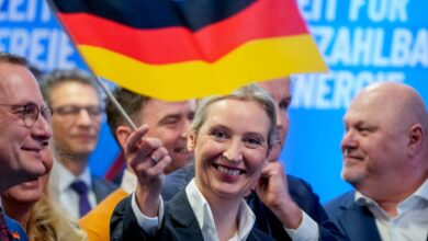 almanya afdnin alice weidel