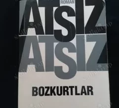 Bozkurtlar Kazakistan Manset